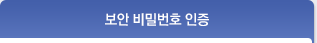 보안 비밀번호 인증