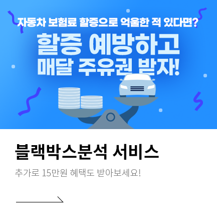 인포바인 블랙박스